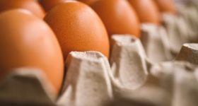 Eierpreis in den USA um 60% gestiegen: Chance für den Veganuary?